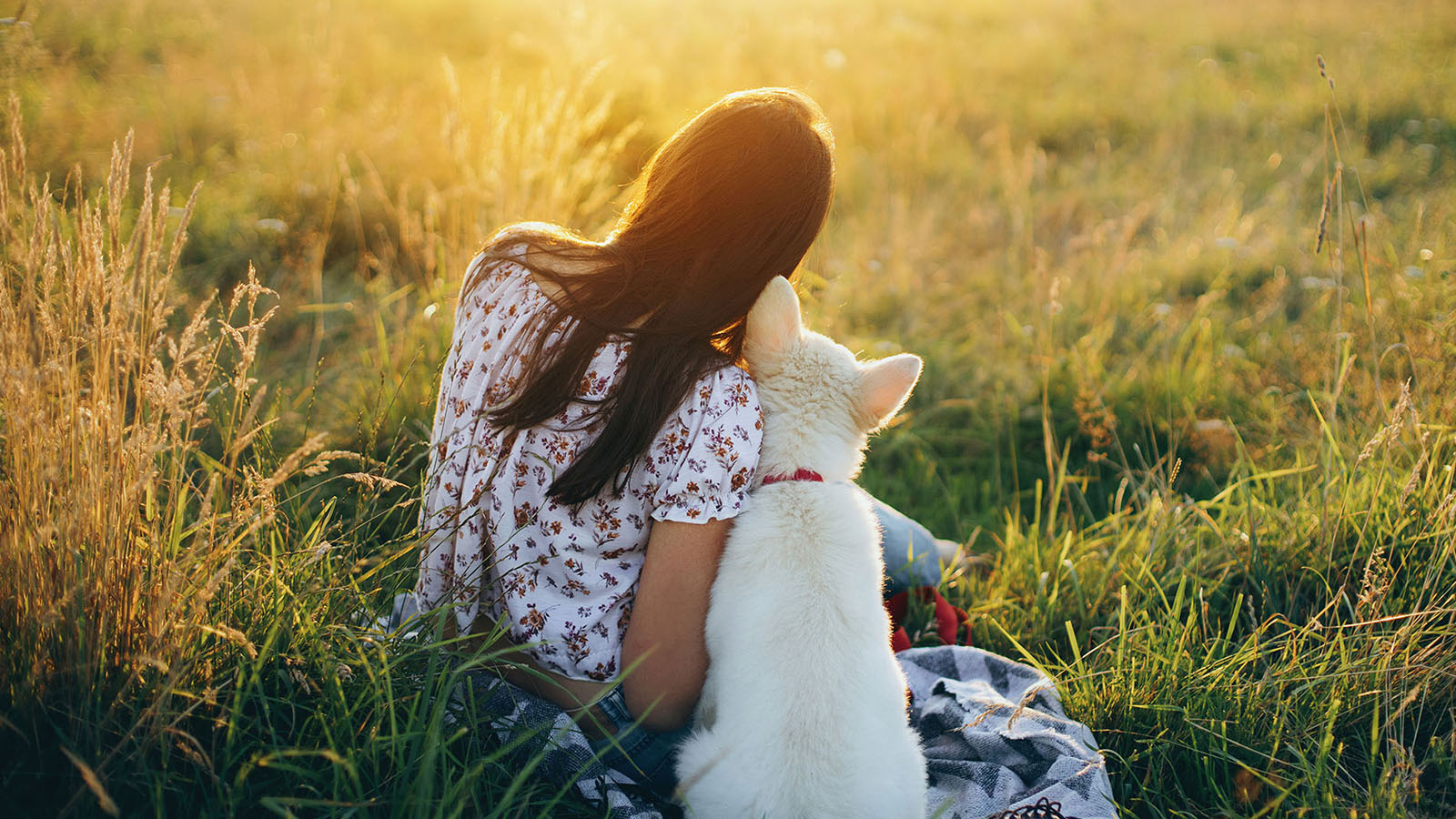 Woman with her dog in a field.