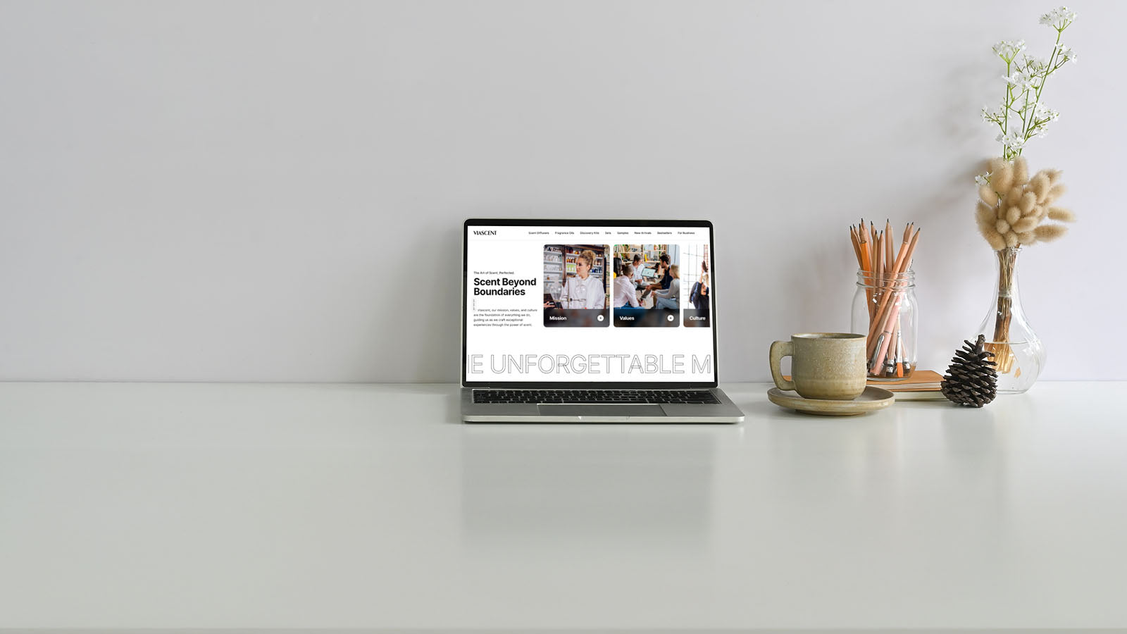 Viascent website launch.