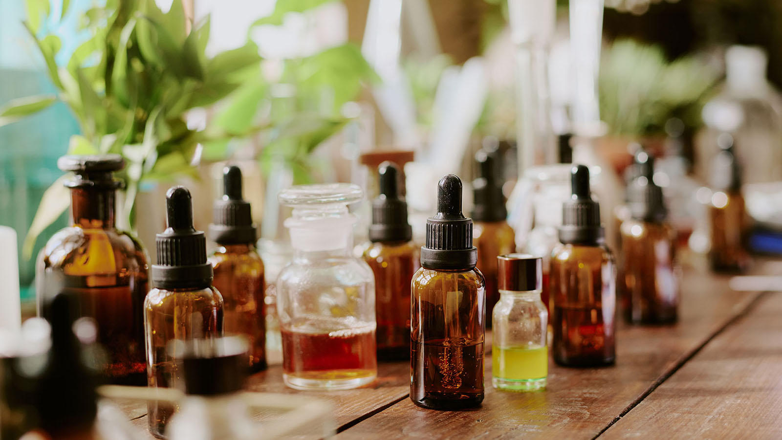 Introduction to Fragrances – Viascent